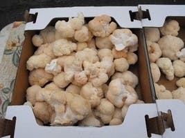 About Downtown Certified Farmers Market