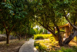 About Montessori in Redlands