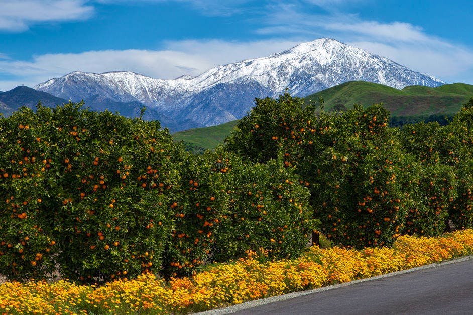 An Image of this Event